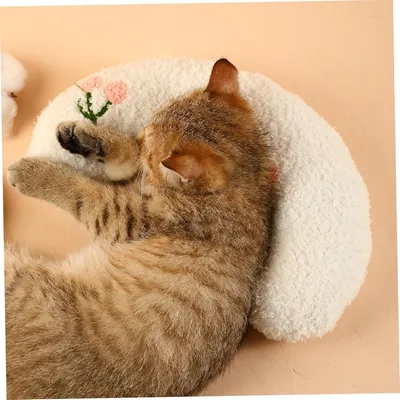 Pawzy Oreiller en U pour animaux Blanc