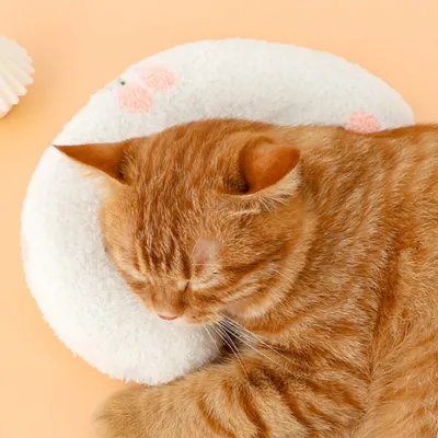 Pawzy Oreiller en U pour animaux Blanc