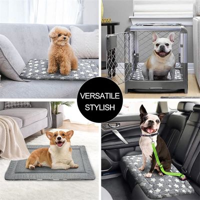Pawzy Tapis de sommeil pour animaux de compagnie