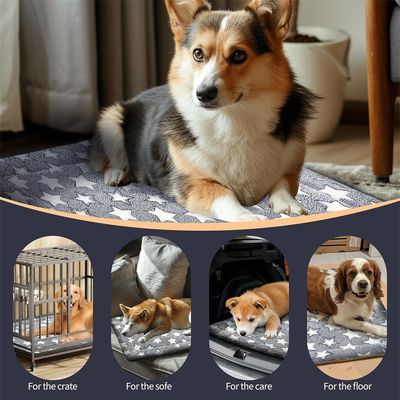 Pawzy Tapis de sommeil pour animaux de compagnie