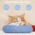 Pawzy Oreiller en forme de U pour chat