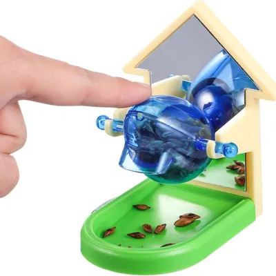 Pawzy Mangeoires à oiseaux jouets