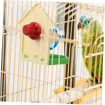 Pawzy Mangeoires à oiseaux jouets