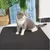 Pawzy Tapis de litière pour chat