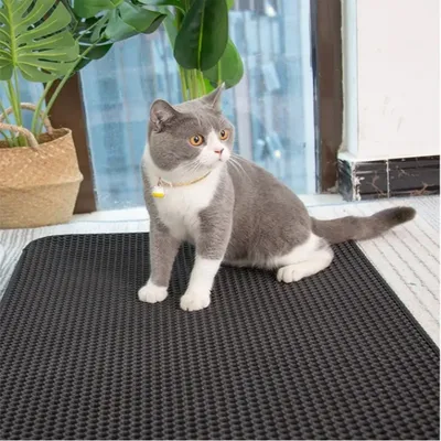 Pawzy Tapis de litière pour chat