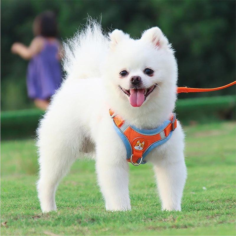 Pawzy Harnachement réfléchissant pour chien