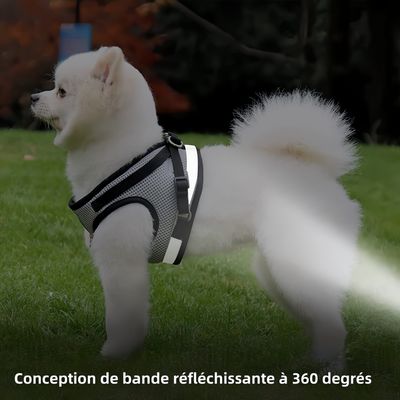 Pawzy Harnais universel pour chat et chien