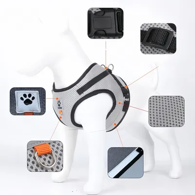 Pawzy Harnais universel pour chat et chien