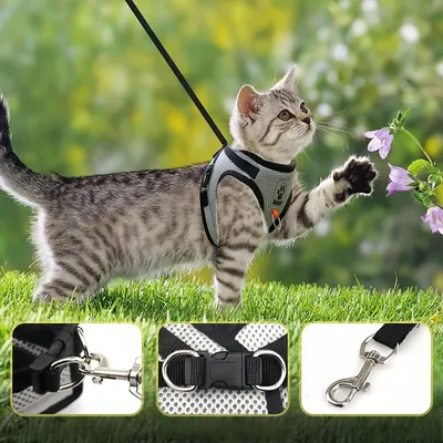 Pawzy Harnais universel pour chat et chien