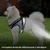 Pawzy Harnais universel pour chat et chien