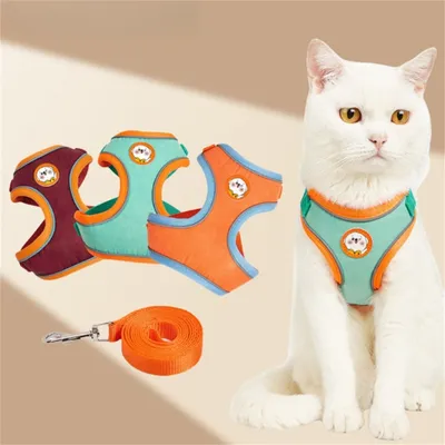 Pawzy Harnachement réfléchissant pour chien