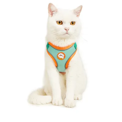 Pawzy Harnachement réfléchissant pour chien