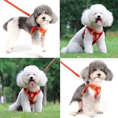 Pawzy Harnachement réfléchissant pour chien