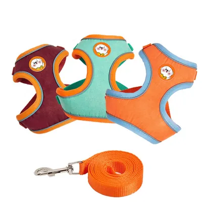 Pawzy Harnachement réfléchissant pour chien