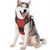 Pawzy Harnais pour chien antidéflagrant