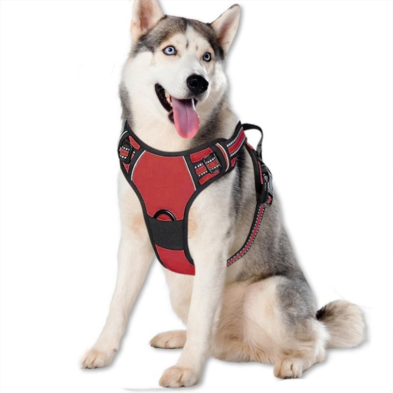 Pawzy Harnais pour chien antidéflagrant