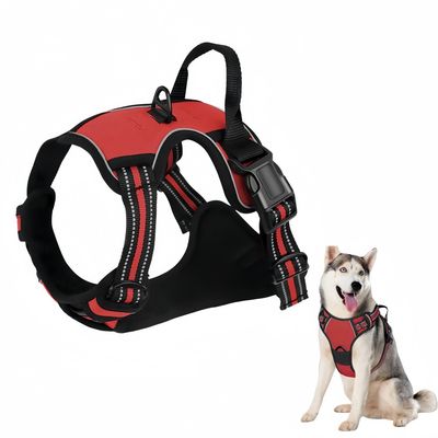 Pawzy Harnais pour chien antidéflagrant