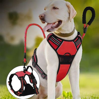Pawzy Harnais pour chien antidéflagrant