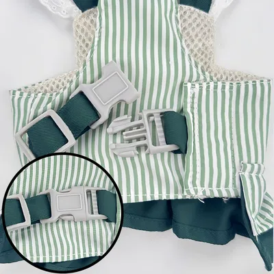 Pawzy Harnais et laisse pour chien Rayures vertes