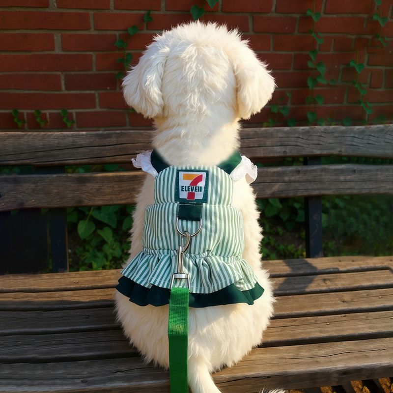 Pawzy Harnais et laisse pour chien Rayures vertes