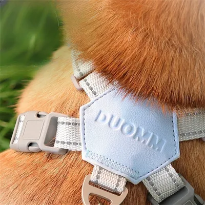 Pawzy Harnais de traction pour chien anti - évasion
