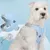 Pawzy Harnais de traction pour chien anti - évasion