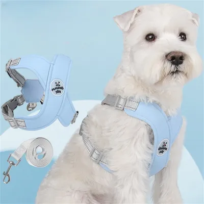 Pawzy Harnais de traction pour chien anti - évasion