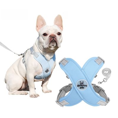 Pawzy Harnais de traction pour chien anti - évasion