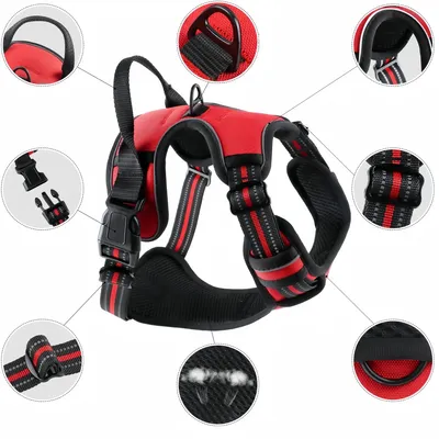 Pawzy Harnais pour chien antidéflagrant