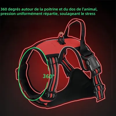 Pawzy Harnais pour chien antidéflagrant