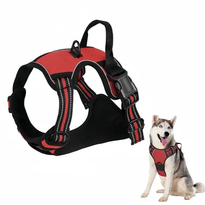 Pawzy Harnais pour chien antidéflagrant Pawzy Harnais pour chien antidéflagrant