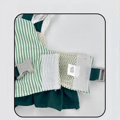 Pawzy Harnais et laisse pour chien Rayures vertes