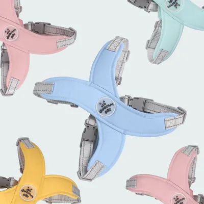 Pawzy Harnais de traction pour chien anti - évasion