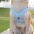 Pawzy Harnais de traction pour chien anti - évasion