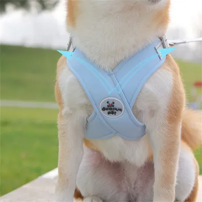 Pawzy Harnais de traction pour chien anti - évasion