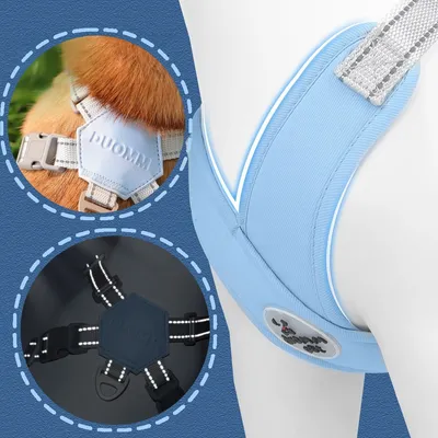 Pawzy Harnais de traction pour chien anti - évasion