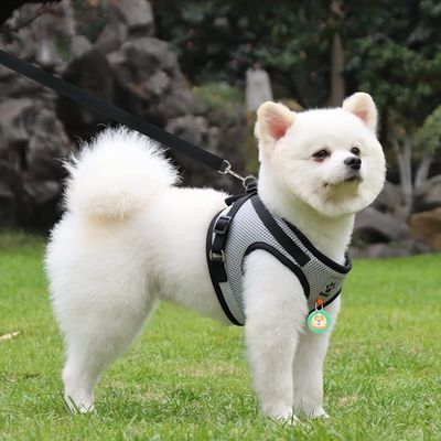 Pawzy Harnais universel pour chat et chien