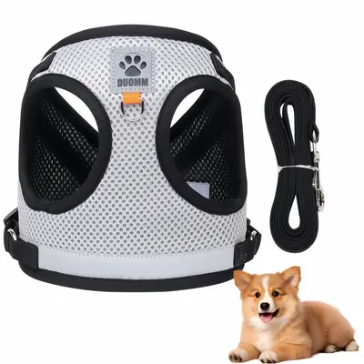 Pawzy Harnais universel pour chat et chien Pawzy Harnais universel pour chat et chien
