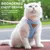 Pawzy Harnais Sécuritaire pour Chat Pawzy Harnais Sécuritaire pour Chat
