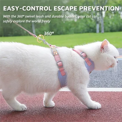 Pawzy Harnais Sécuritaire pour Chat Pawzy Harnais Sécuritaire pour Chat