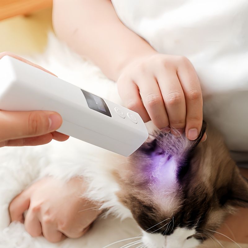 Pawzy Broyeur à ongles pour animaux de compagnie