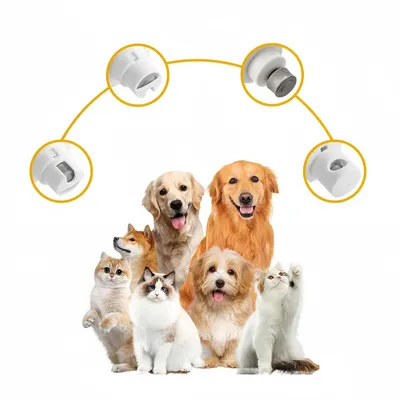 Pawzy Broyeur à ongles pour animaux de compagnie