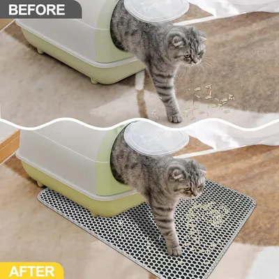 Pawzy Tapis toilette chat - Double épaisseur étanche