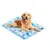 Pawzy Tapis glace chien
