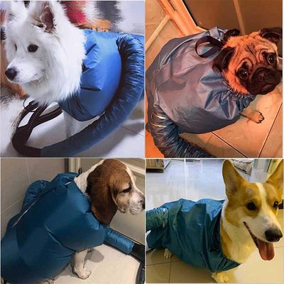 Pawzy Sac de séchage pour animaux de compagnie