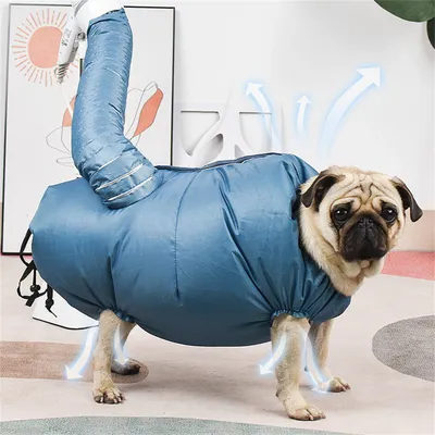 Pawzy Sac de séchage pour animaux de compagnie