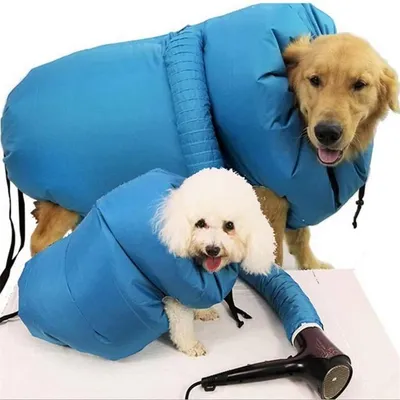 Pawzy Sac de séchage pour animaux de compagnie