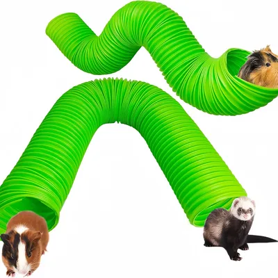 Pawzy Tunnel pliable pour Petits animaux de compagnie