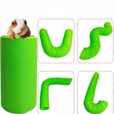Pawzy Tunnel pliable pour Petits animaux de compagnie