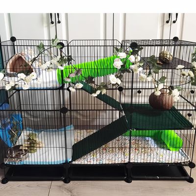 Pawzy Tunnel pliable pour Petits animaux de compagnie